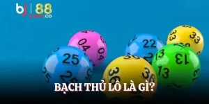 Bạch thủ lô là gì thumb