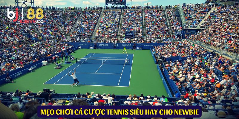 Khi cược thể thao tennis nên áp dụng vài biện pháp cơ bản sau đây