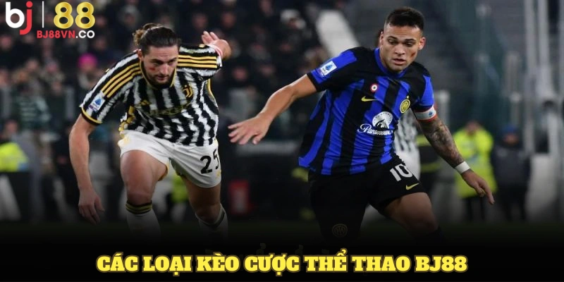 Tổng hợp các loại kèo cược thể thao BJ88 thu hút nhất hiện nay