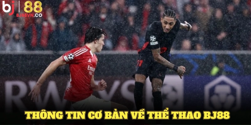 Tổng hợp thông tin cơ bản về thể thao BJ88